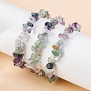 Unisex Chip Natural Fluorite Beaded Stretch Bracelets BJEW-S143-14-4