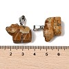 Natural Picture Jasper Pendants G-B127-02P-04-3