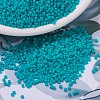 MIYUKI Delica Beads X-SEED-J020-DB0793-1