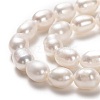 Natural Cultured Freshwater Pearl Beads Strands PEAR-L033-70-01-2