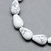 Natural Howlite Gemstone Bead Strands G-T004-19-1