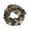 Natural Labradorite Beads Strands LS-G-C250-03-3