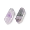 Natural Fluorite Double Terminal Pointed Pendants G-C007-02B-09-3