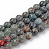 Natural African Bloodstone Beads Strands G-Q462-95-4mm-1