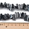 Dyed Natural Trochus Shell Beads Strands SSHEL-C013-09A-4