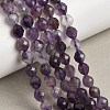 Natural Amethyst Beads Strands G-K376-F03-01-1