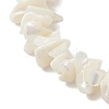 Natural White Mother of Pearl Shell Chip Bead Bracelets for Couple Friendship BJEW-JB11533-02-3