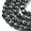Natural Seraphinite Beads Strands G-C270-O01-07-4