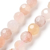 Natural Cherry Blossom Agate Beads Strands G-C150-B04-01-2