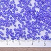 MIYUKI Round Rocailles Beads SEED-G007-RR0483-4