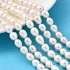 Natural Cultured Freshwater Pearl Beads Strands PEAR-I007-01F-06A-1