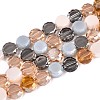 Electroplate Glass Beads Strands EGLA-N022-03A-A03-1