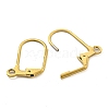 Ion Plating(IP) 304 Stainless Steel Leverback Earring Findings LS-STAS-P360-02B-G-2