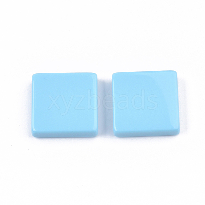 Resin Beads RESI-S377-32-1