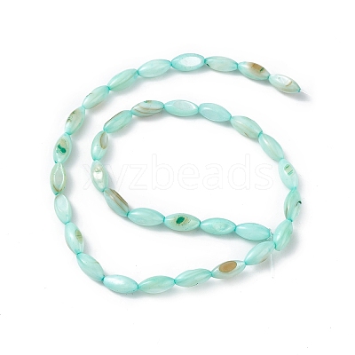 Natural Freshwater Shell Dyed Beads Strands SHEL-M018-13-1