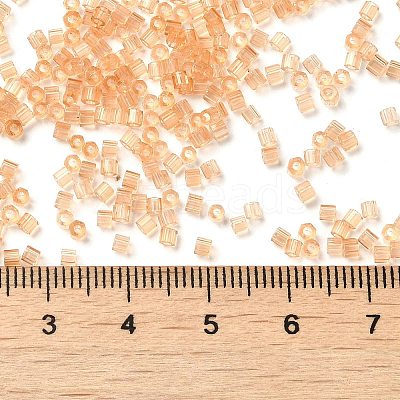Transparent Glass Seed Beads SEED-S042-21B-05-1