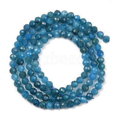 Natural Apatite Beads Strands G-E411-36-3mm-01-1