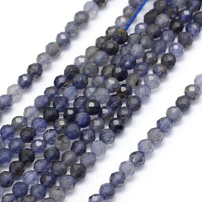 Natural Cordierite/Iolite/Dichroite Beads Strands G-E411-39-3mm-1