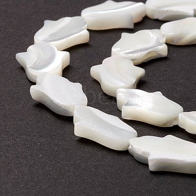 Natural Trochid Shell/Trochus Shell Beads SSHEL-O001-23B-1