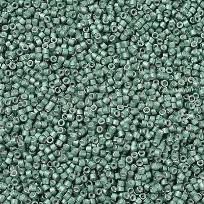MIYUKI Delica Beads X-SEED-J020-DB1171-1