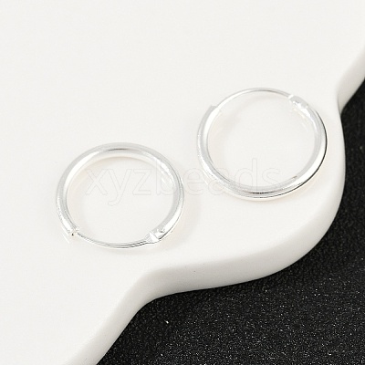 Brass Hoop Earrings EJEW-F378-02S-1