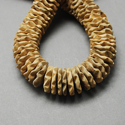Coconut Beads Strands COCB-Q003-25mm-2-1