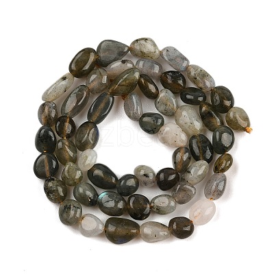 Natural Labradorite Beads Strands LS-G-C250-03-1