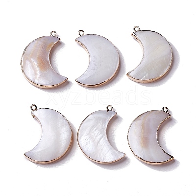 Natural Fresh Shell Pendants SHEL-P015-08KCG-1