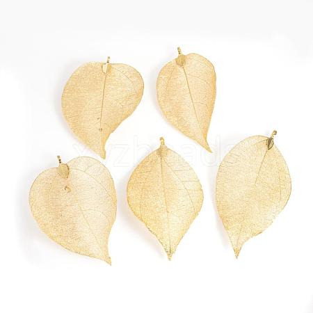 Electroplated Natural Leaf Big Pendants IFIN-Q119-02J-1