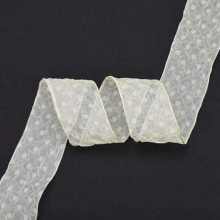 20 Yards Polyester Mesh Ribbon SRIB-P021-E06-1