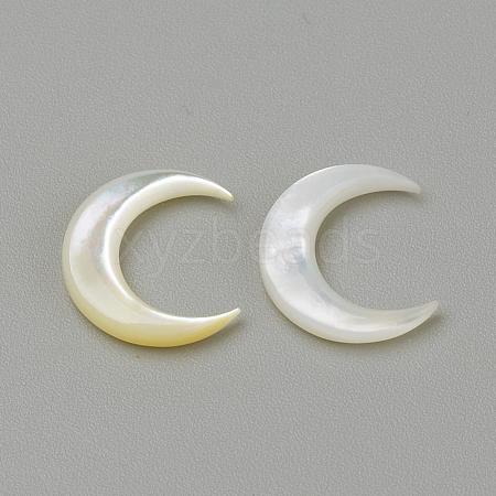 Natural White Shell Mother of Pearl Shell Cabochons SHEL-S267-04B-1