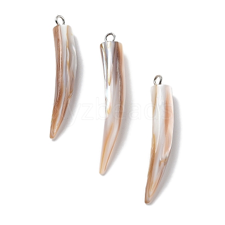 Natural Freshwater Shell Pendants with Iron Bails SHEL-D082-11A-1