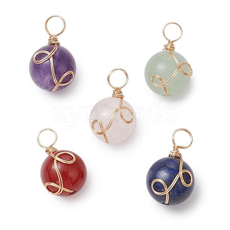 Natural Carnelian/Rose Quartz/Lapis Lazuli/Aventurine/Amethyst Round Pendants PALLOY-JF02980-1