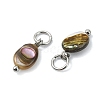 Natural Paua Shell Pendants PALLOY-JF05290-02-2