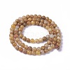Natural Fossil Coral Beads Strands G-F648-01-A-2