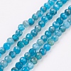 Natural Apatite Beads Strands G-F568-135-3mm-1