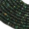 Natural Fuchsite Beads Strands GG-CBA77FB-C04-03-3
