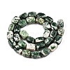 Natural Green Spot Jasper Beads Strands G-T138-96-2