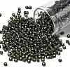 TOHO 8/0 Round Beads SEED-TR08-0029C-1