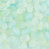Frosted Glass Seed Beads SEED-N008-05F-3