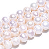 Natural Cultured Freshwater Pearl Beads Strands X-PEAR-N013-17N-01-5