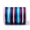 Segment Dyed Polyester Thread NWIR-I013-B-13-3