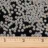 Luminous Transparent Glass Seed Round Beads GLAA-F124-D02-B-6