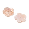 Natural Pink Shell Carved Beads SSHEL-I026-12C-03-2