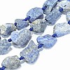 Natural Lapis Lazuli Beads Strands G-G697-E09-01-1