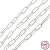 Anti-Tarnish Rhodium Plated 925 Sterling Silver Paperclip Chains STER-F052-01P-3