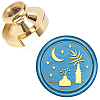 Wax Seal Brass Stamp Head AJEW-WH0127-03G-1