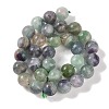 Natural Fluorite Beads Strands G-P530-B04-05-4