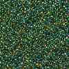 TOHO Round Seed Beads SEED-JPTR11-1829-2