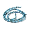 Natural Apatite Beads Strands G-J400-E04-01-3
